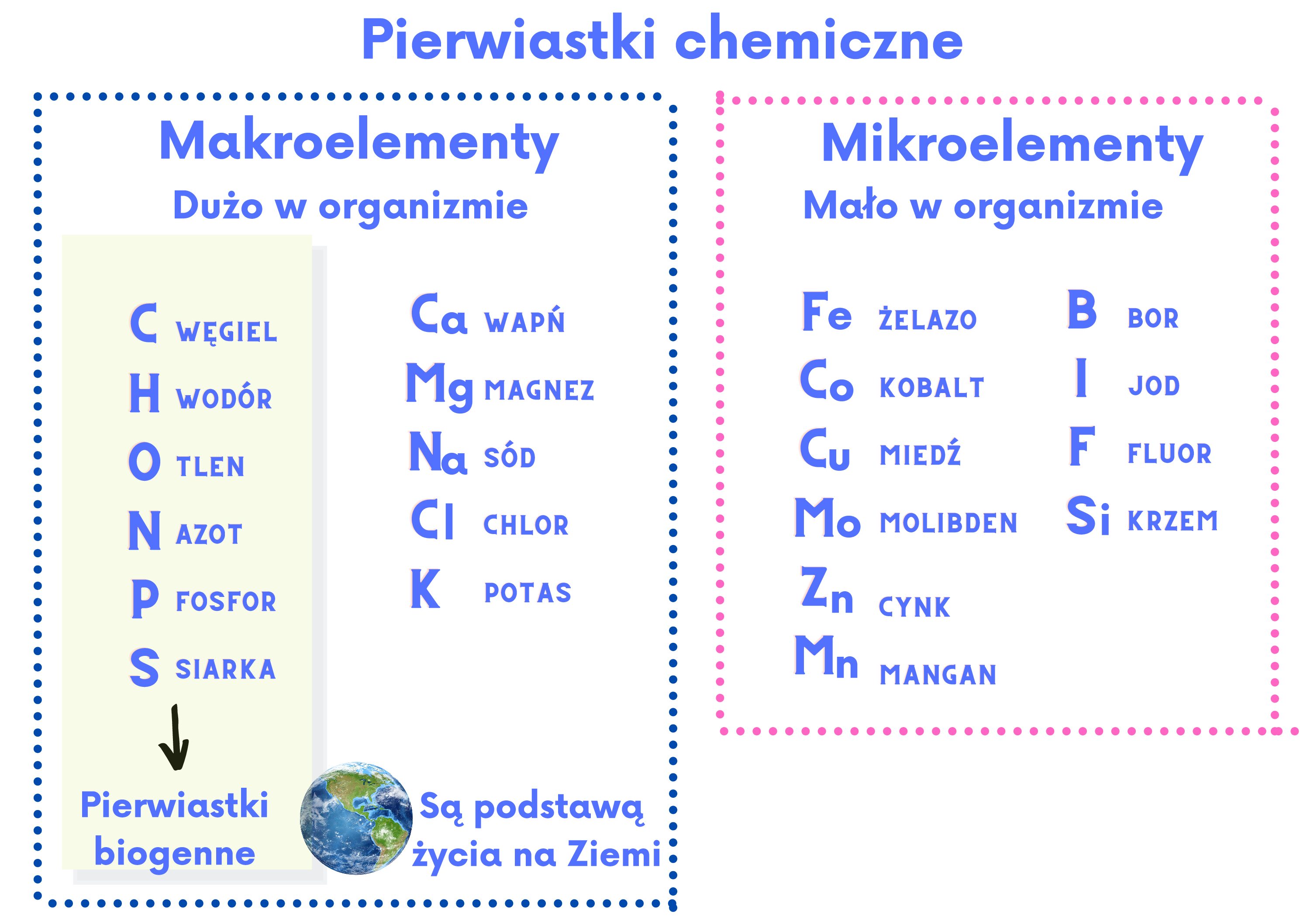 Skład Chemiczny Organizmów Makro I Mikroelementy