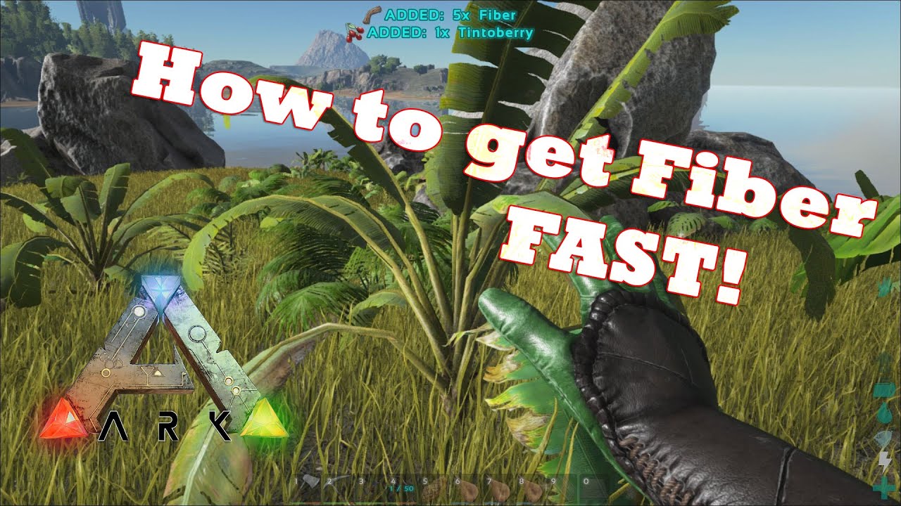Ark: Survival Evolved | How To Get Fiber FAST!! - YouTube How To Farm Fiber Ark