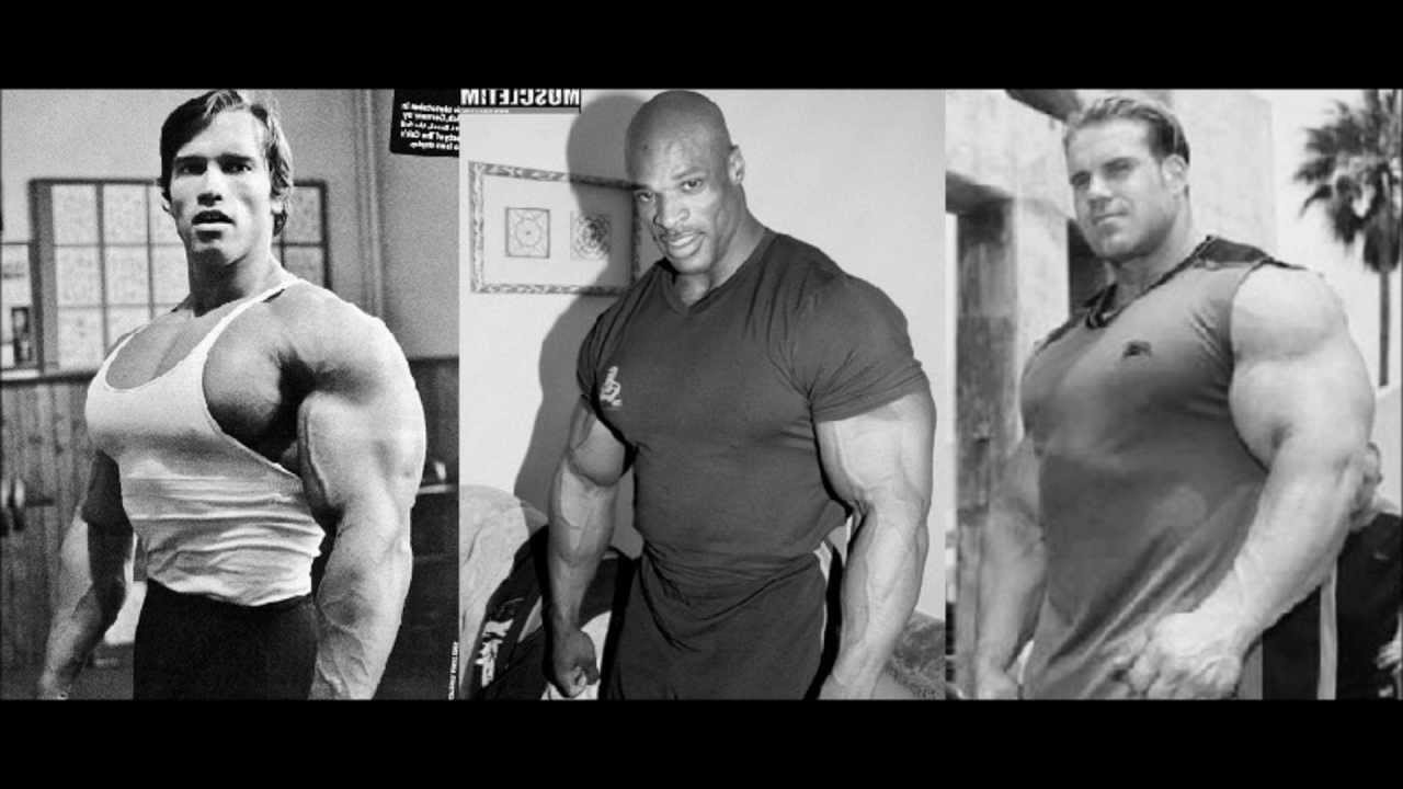 Arnold Schwarzenegger Vs Ronnie Coleman Vs Jay Cutler Arnold Schwarzenegger Jay Cutler Ronnie Coleman