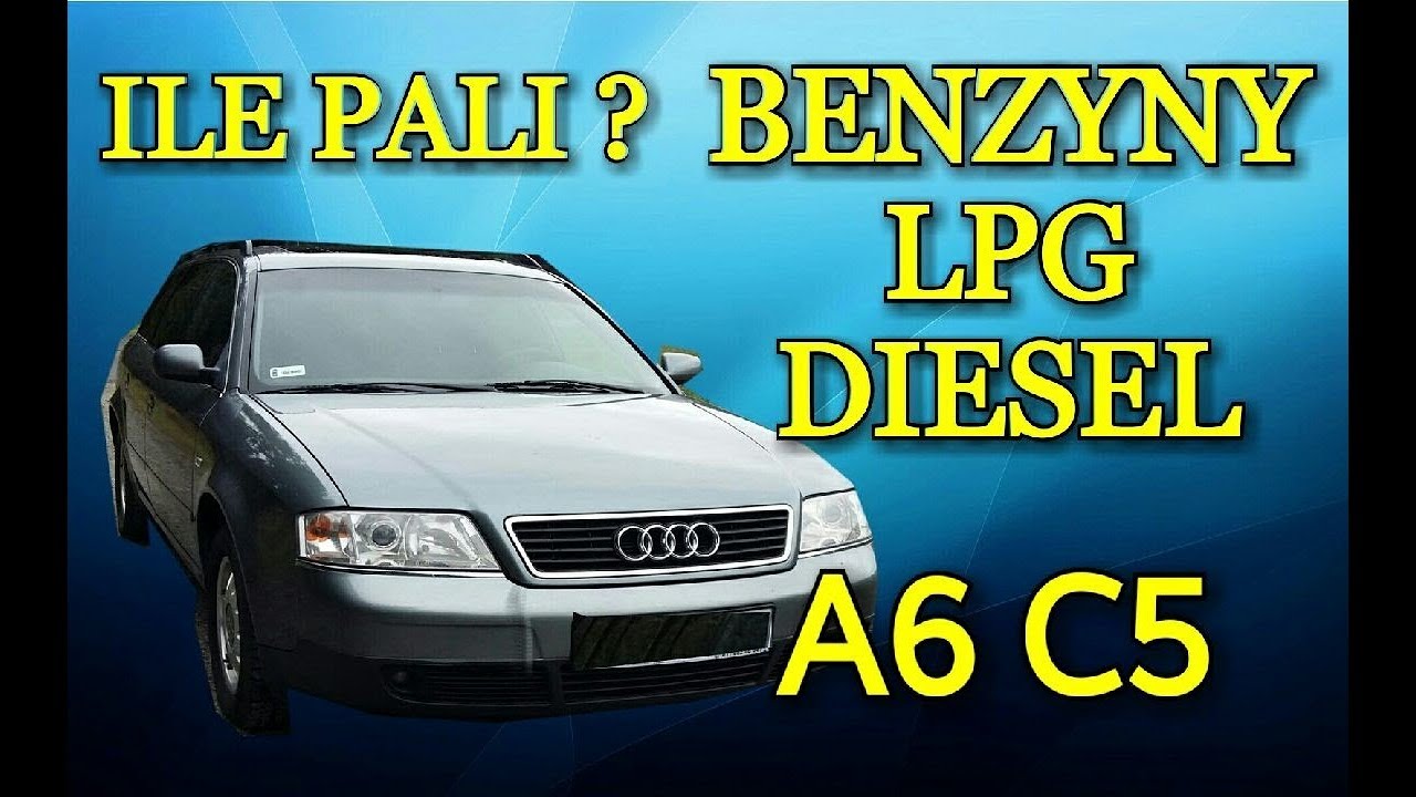Przestań Tu Ziom Palić Głupa Tekst