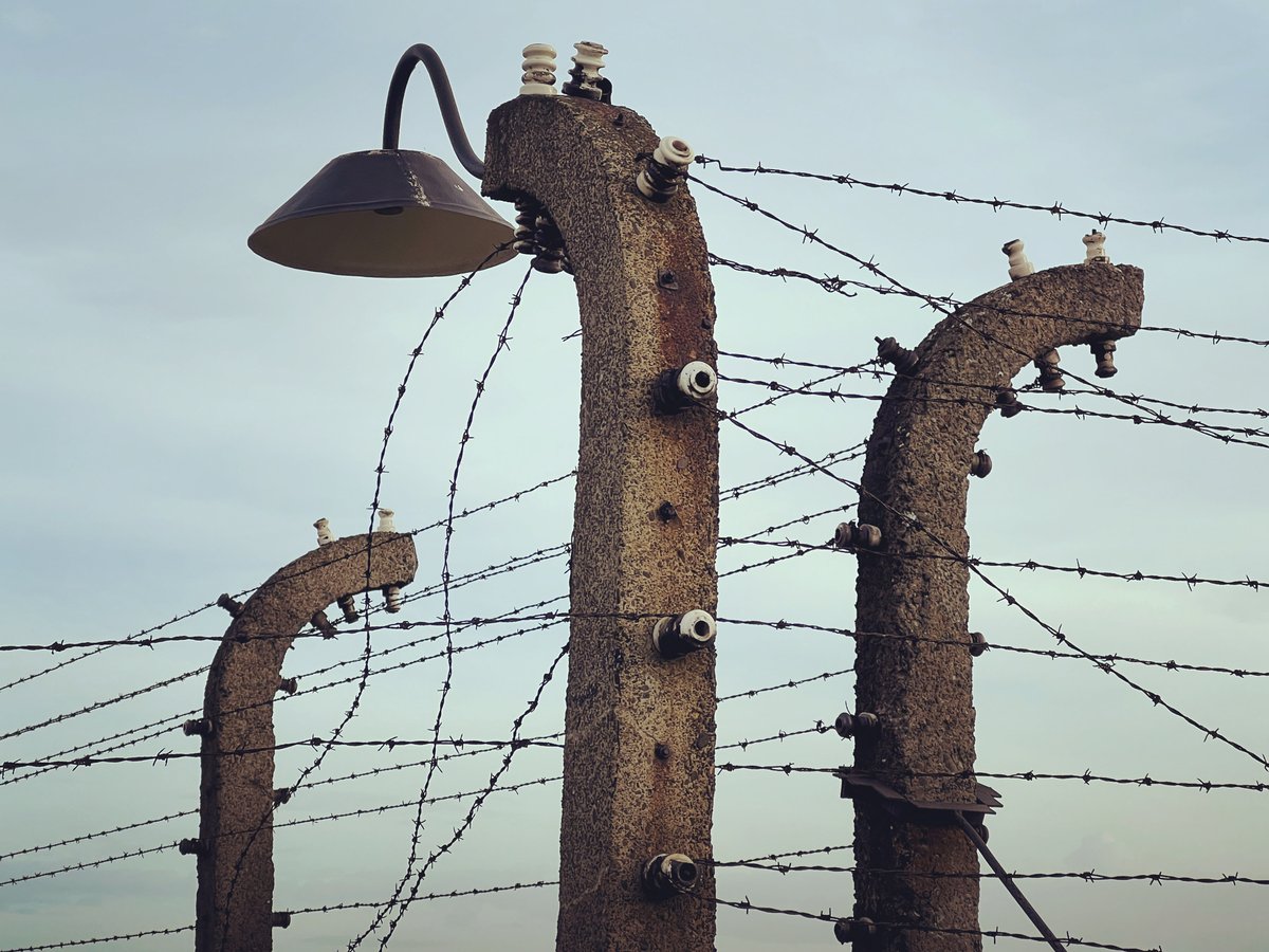 History And Memory After Auschwitz Pdf