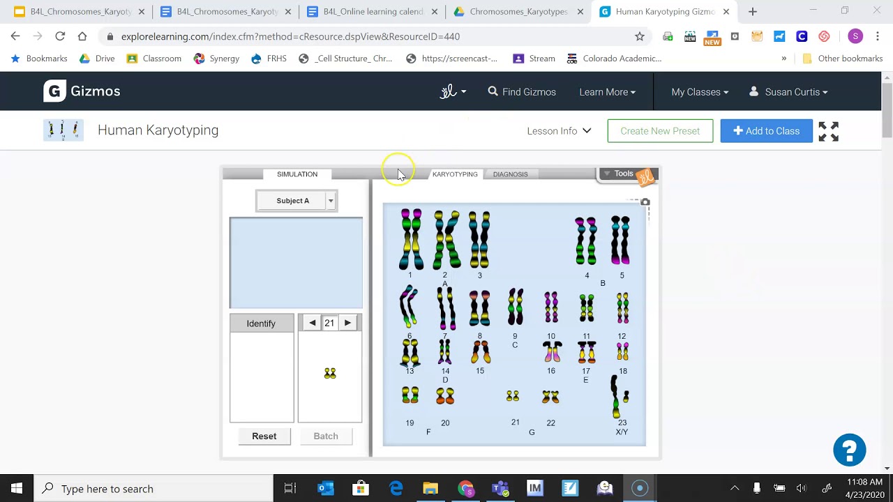 B4L: Human Karyotyping Gizmo - YouTube Student Exploration Human Karyotyping Gizmo Answer Key Pdf