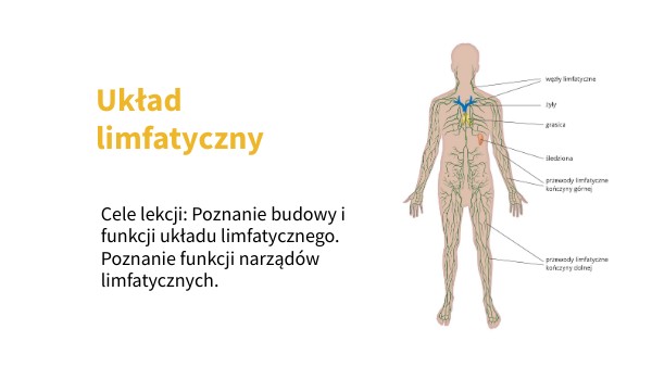 B7 Układ limfatyczny by Agnieszka Krzywdzińska on Genially Układ Limfatyczny Rozpoczyna Się W Przestrzeniach Międzykomórkowych