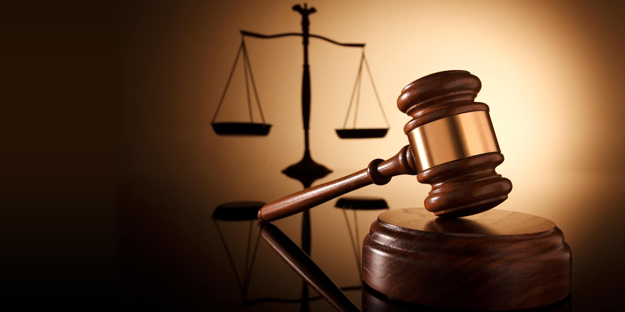 Back to Basics – Regulatory 101 - Legal basis of your MA application in Legal Interpretation And Scientific Knowledge