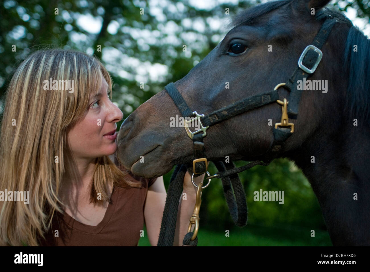 Baiser cheval Banque de photographies et d’images à haute résolution Femme Se Fais Baiser Par Un Cheval