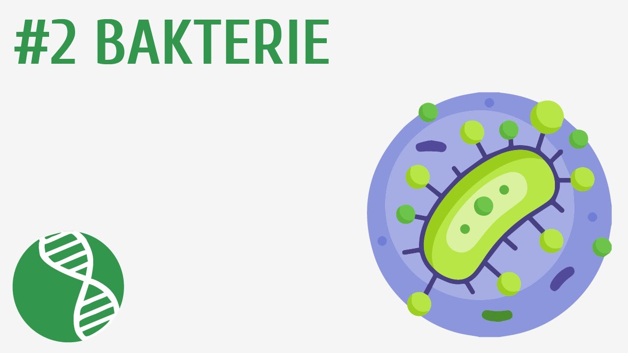 Bakterie I Wirusy Organizmy Beztkankowe Pdf