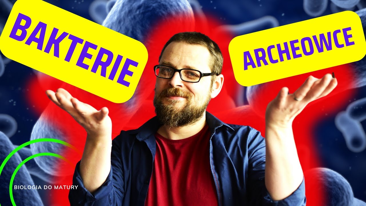 Bakterie i Archeowce | Gram dodatnie i Gram ujemne | Prokarionty Ziarenkowce Gram Dodatnie W Pochwie