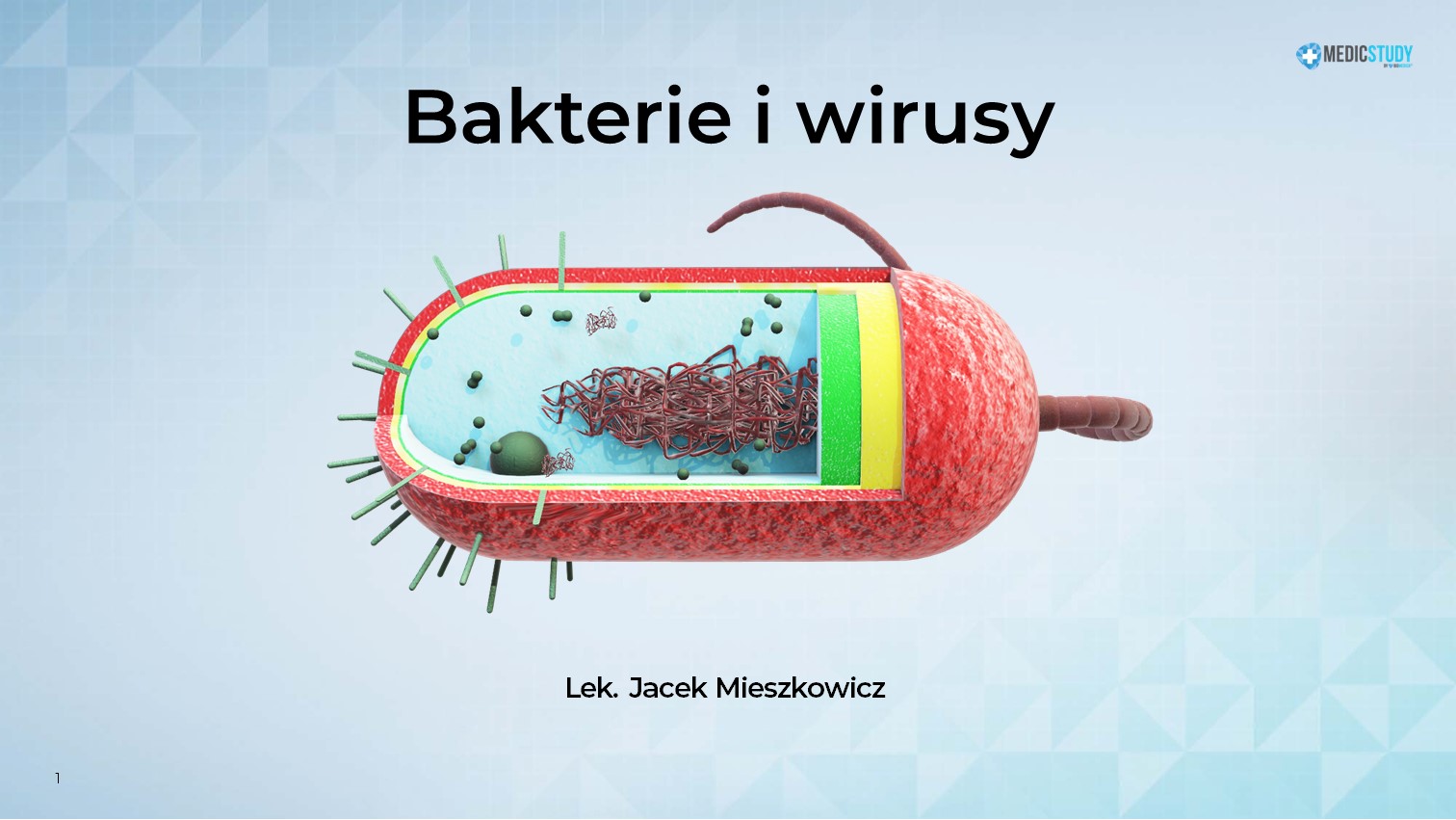 Czynnik Hamujący Wzrost Bakterii W Moczu