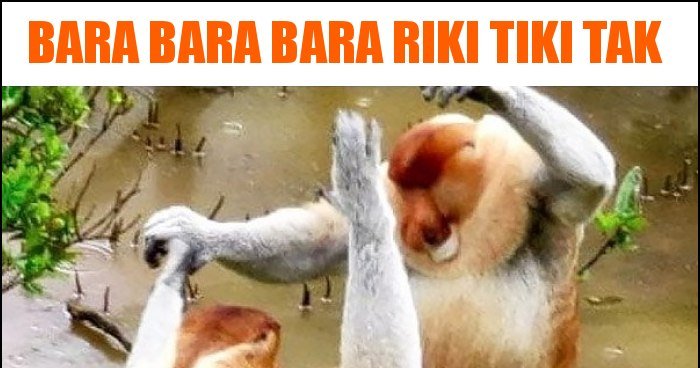Bara Bara Bara Riki Tiki Tak