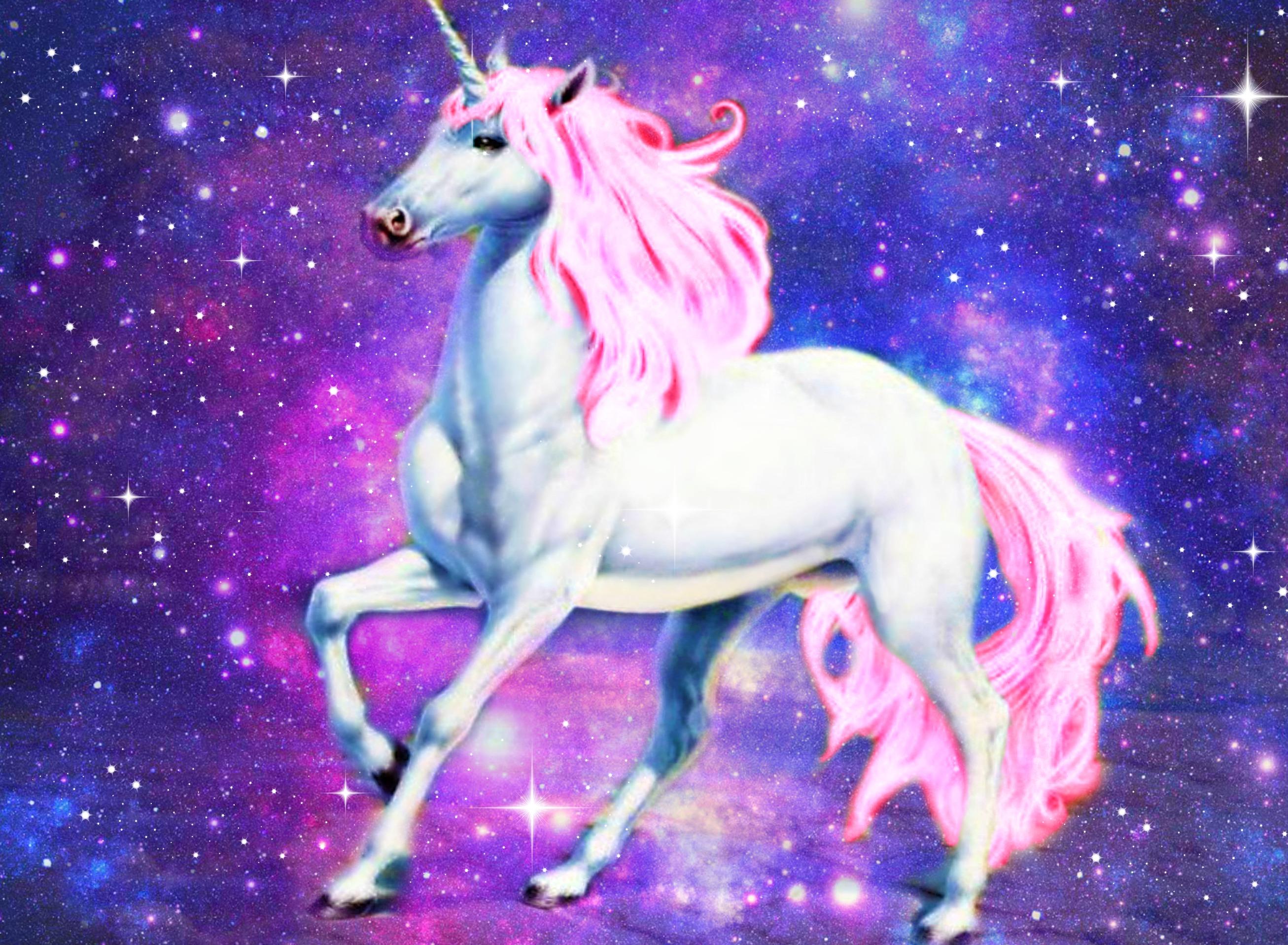 I Am The Prettiest Unicorn