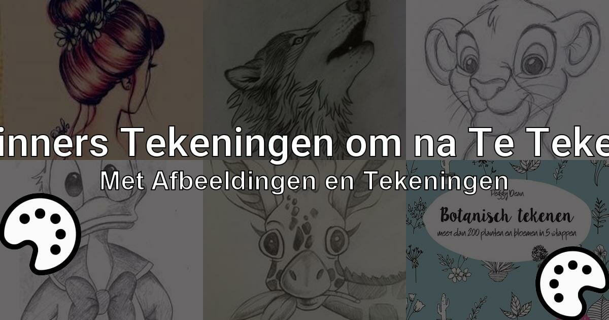 Tekeningen Om Na Te Tekenen Voor Beginners
