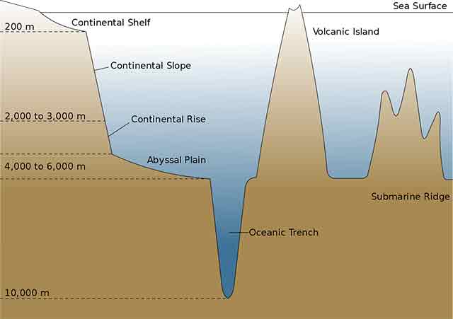 Bentuk-Bentuk Muka Bumi Dasar Laut Rowy Oceaniczne Powstaja W Strefie Ryftowej