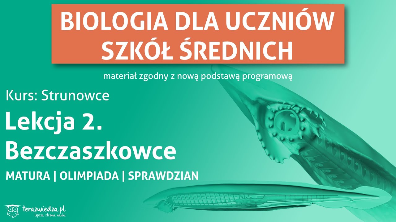 W Centrum Uwagi 2 Zakres Rozszerzony Pdf