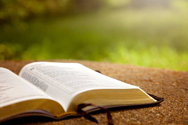 Biblia - sprawdzian klasa 6 6th - 8th Grade Quiz | Quizizz Biblia Sprawdzian