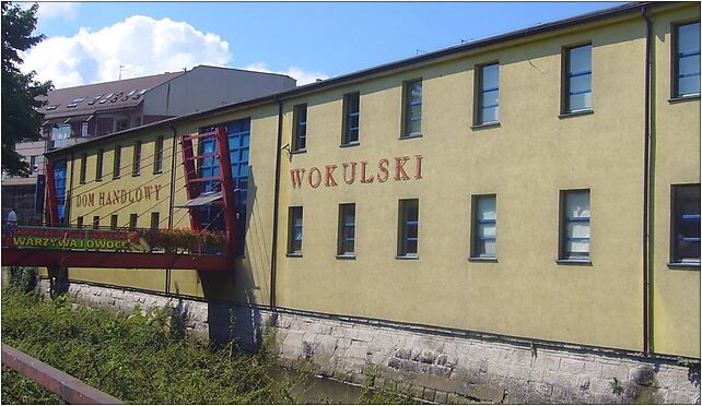 Za Ile Wokulski Wykupił Kamienicę łęckich