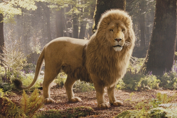 Bild - 2767 aslan.jpg – Narnia-Wiki – Die Chroniken von Narnia (3): Die Opis Aslana Z Opowiesci Z Narnii