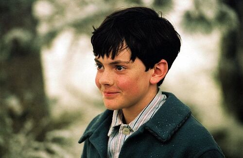Bild - Edmund.jpg – Narnia-Wiki – Die Chroniken von Narnia (3): Die Jak Wyglądał Edmund Z Opowieści Z Narnii