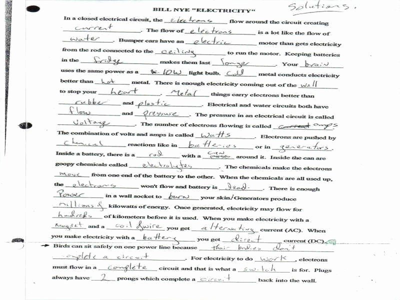 Bill Nye Cells Worksheet Answer Key