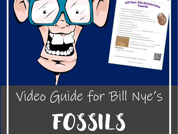 Bill Nye Fossils Video Answer Key