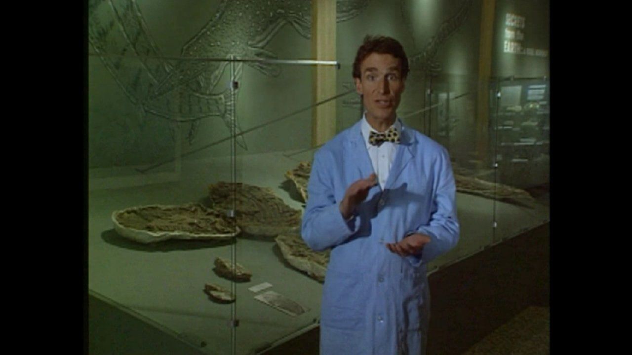 Bill Nye Fossils Worksheet Answer Key - Printable Word Searches Bill Nye Fossils Video Answer Key