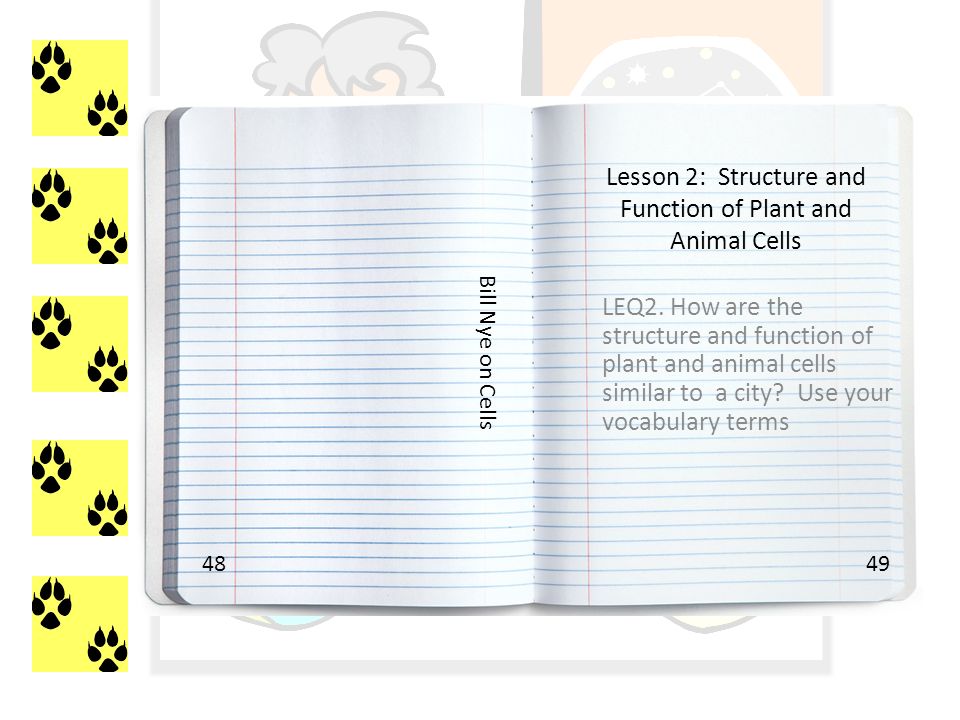 Bill Nye The Science Guy Cells Worksheet - Worksheet Diagram Bill Nye Cells Worksheet Answer Key