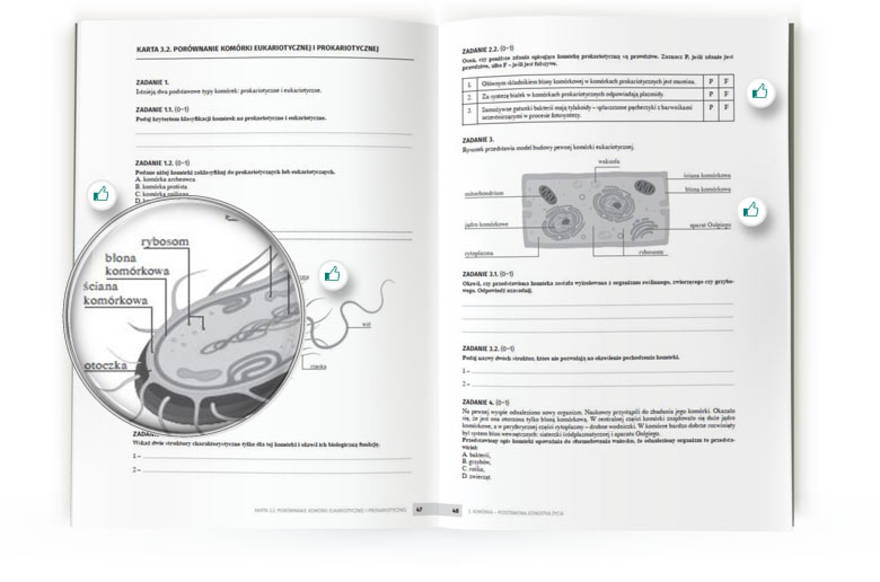 Biologia 1. Klasa 1. Maturalne karty pracy dla liceum i technikum Cwiczenia Biologia Klasa 1 Liceum