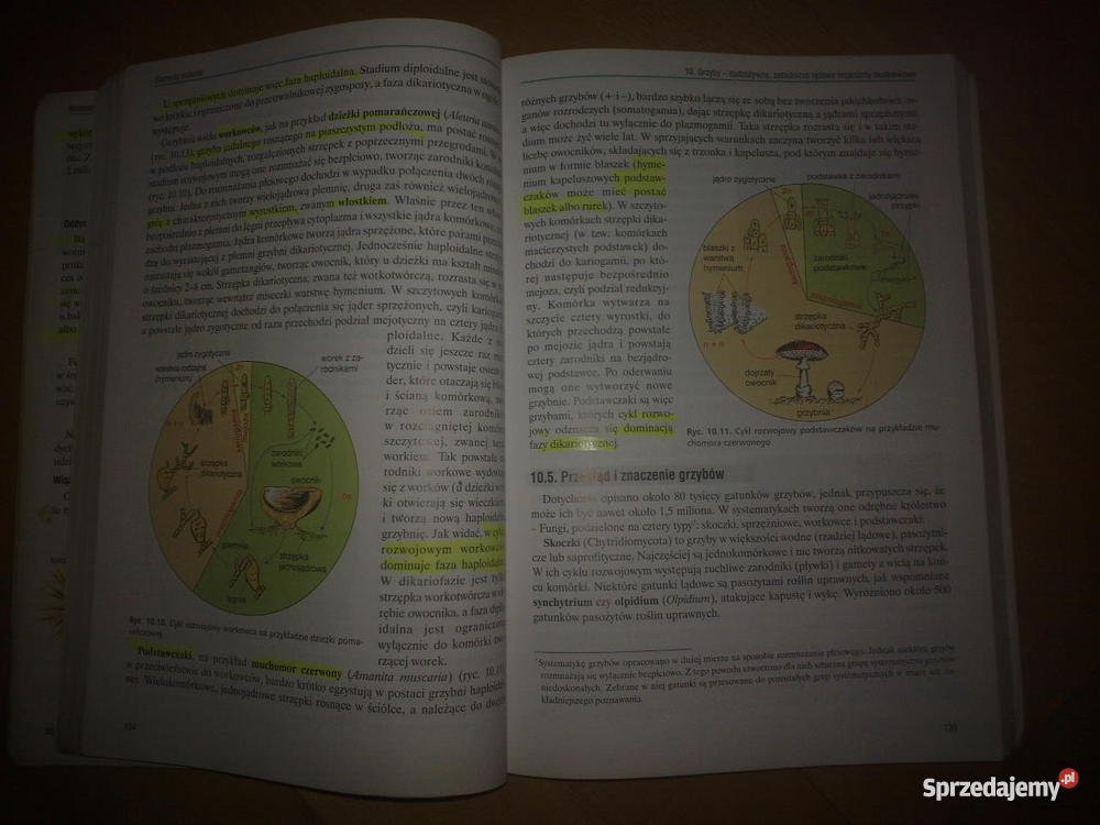 Biologia 1 Zakres rozszerzony Liceum Ogólnokształcące OPERON Waldemar Biologia Klasa 1 Liceum Zakres Rozszerzony