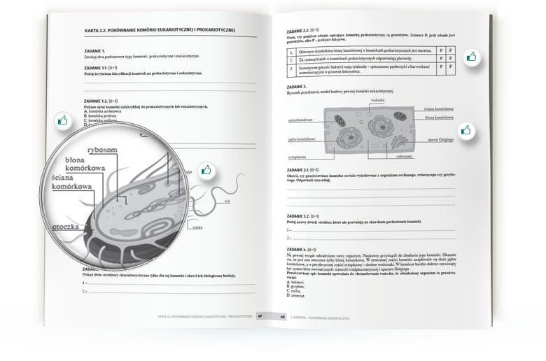 Karty Pracy Biologia Na Czasie 1 Pdf