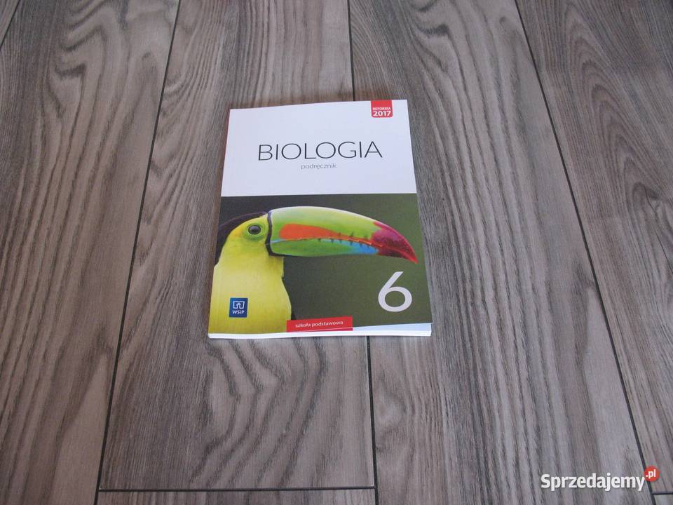 Biologia 6. Podręcznik kl. 6 SP (KSIĄŻKA) Katowice - Sprzedajemy.pl E Podrecznik Biologia Klasa 6