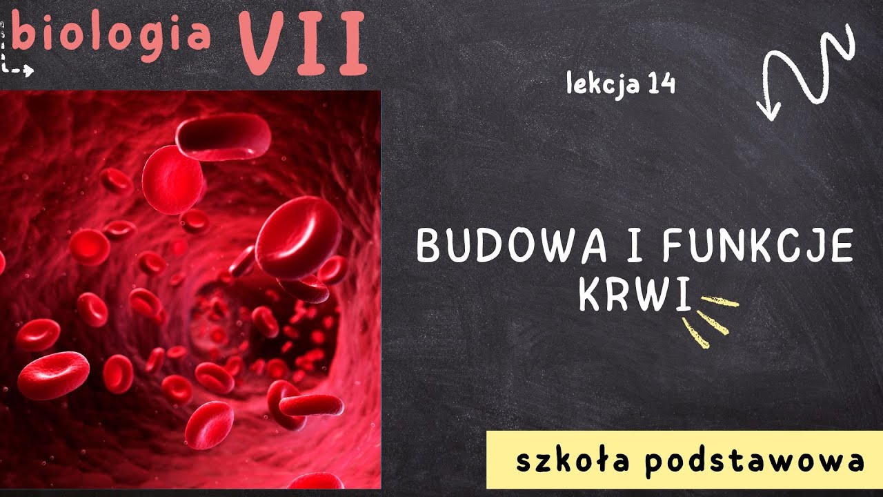 Biologia 7 [Lekcja 14 - Budowa i funkcje krwi] - YouTube Sa Jedynymi Komorkami Krwi Ktore Wykazuja Zdolnosc Ruchu