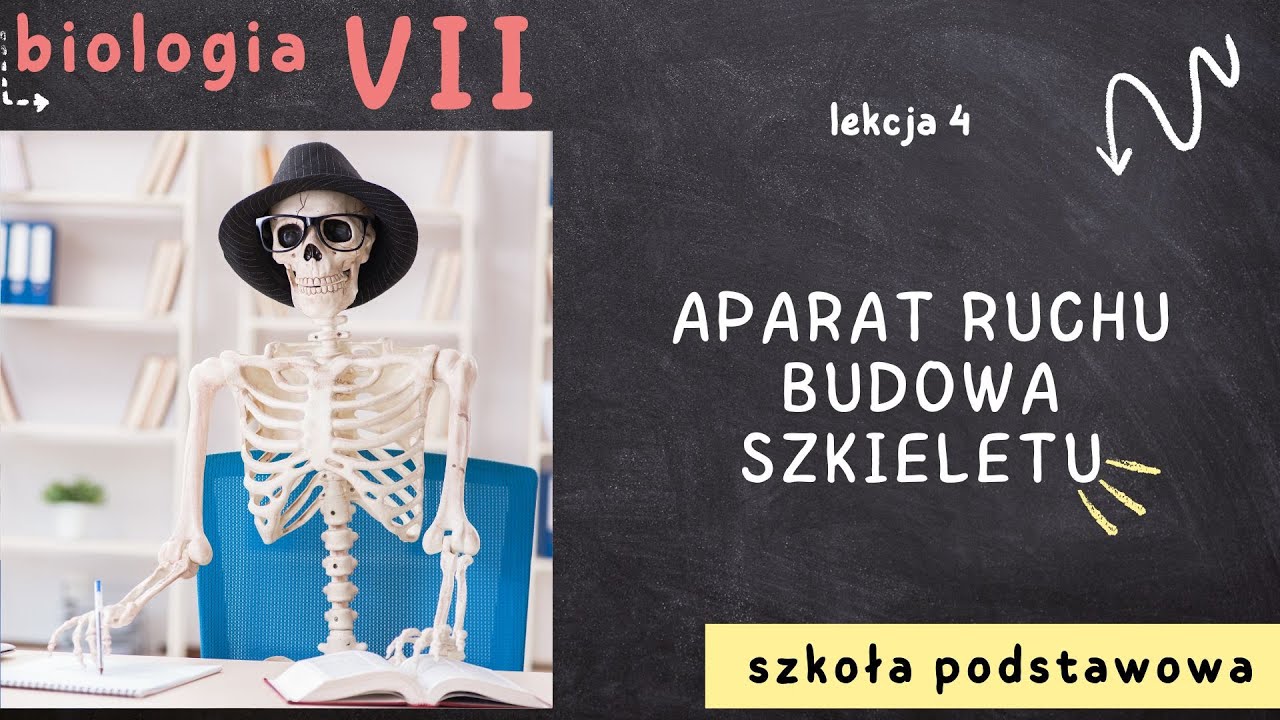 Biologia 7 [Lekcja 4 - Aparat ruchu. Budowa szkieletu] - YouTube Biologia Klasa 7 Aparat Ruchu