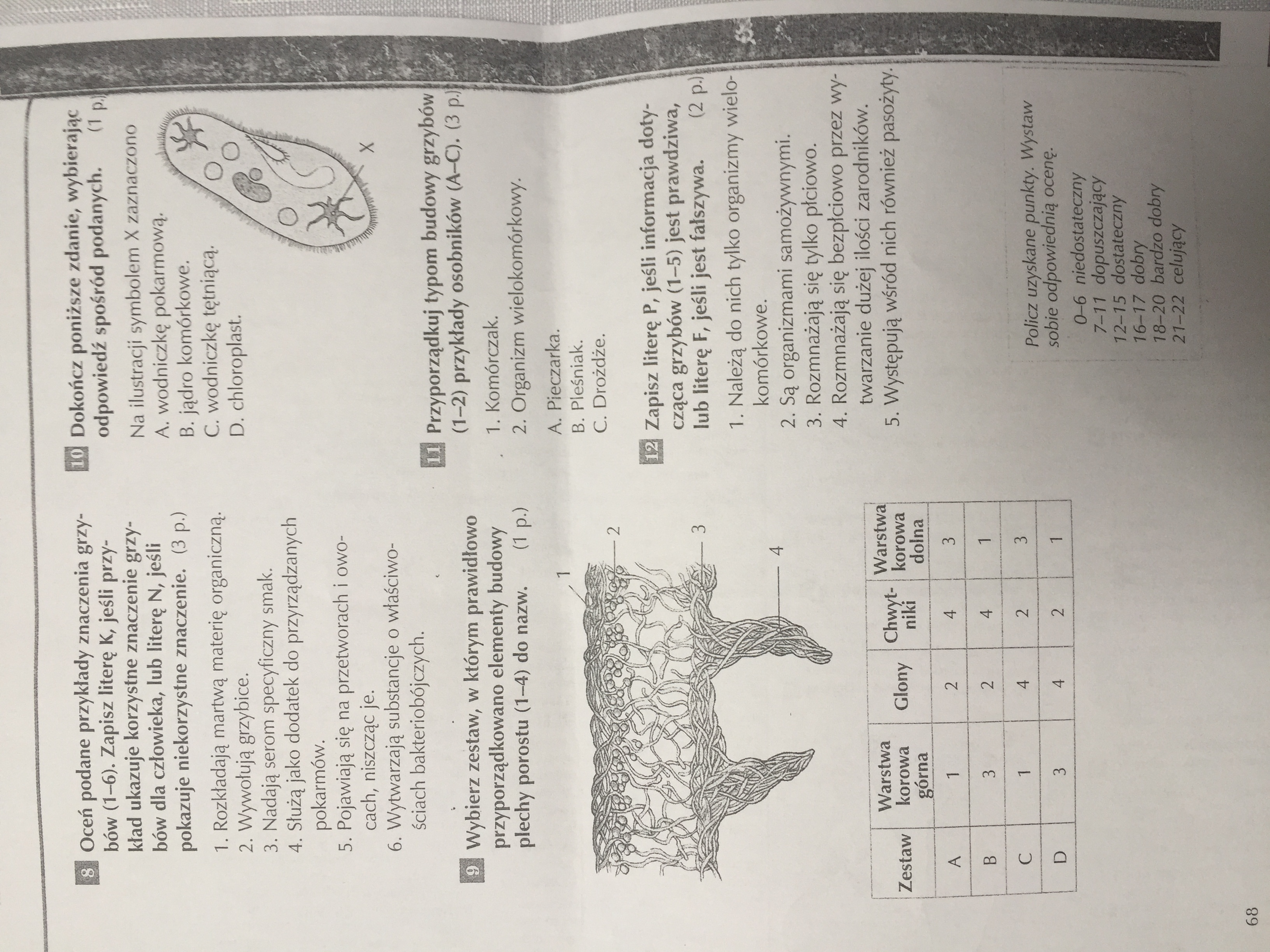Biologia!!!! Bakterie i wirusy. Organizmy beztkankowe . Wiesz czy nie Bakterie I Wirusy Organizmy Beztkankowe Sprawdzian