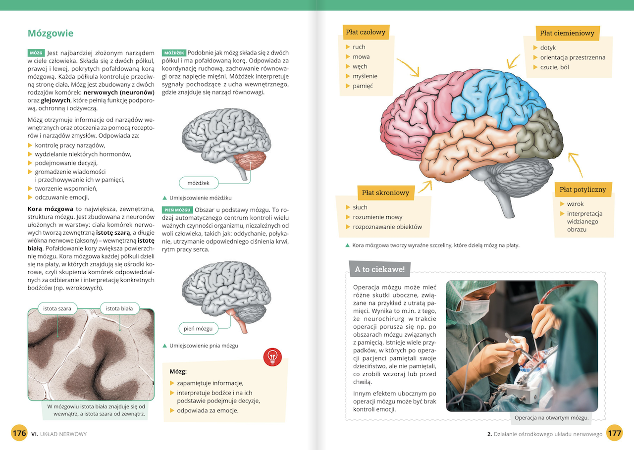 Biologia bez tajemnic - klasa 7 » Wydawnictwa Szkolne i Pedagogiczne Biologia Klasa 7 Dzial 1