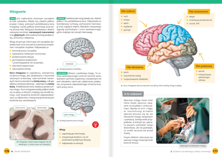 Biologia bez tajemnic. Klasa 7 - Wydawnictwa Szkolne i Pedagogiczne Biologia Klasa 7 Dzial 4