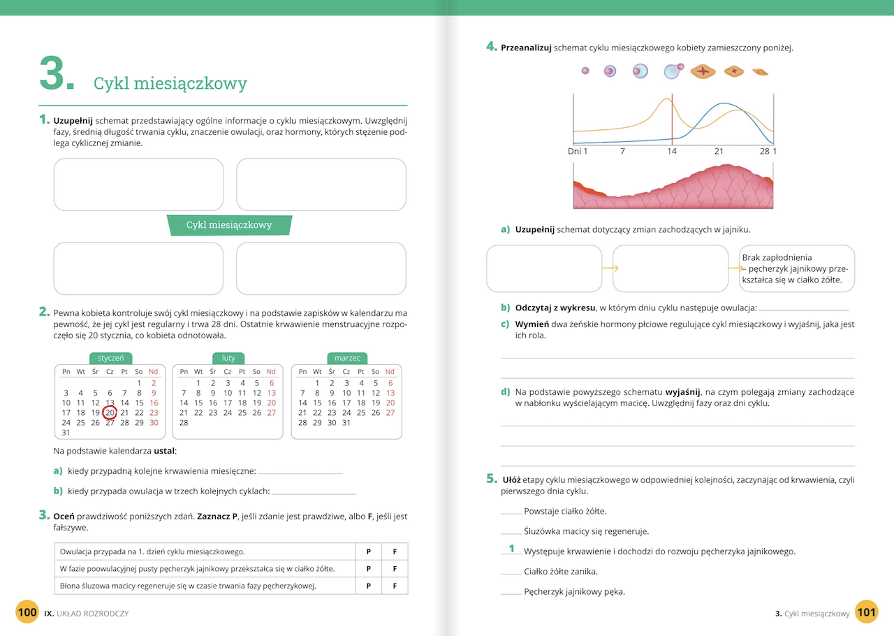Biologia Klasa 7 Nowa Era Sprawdziany Pdf