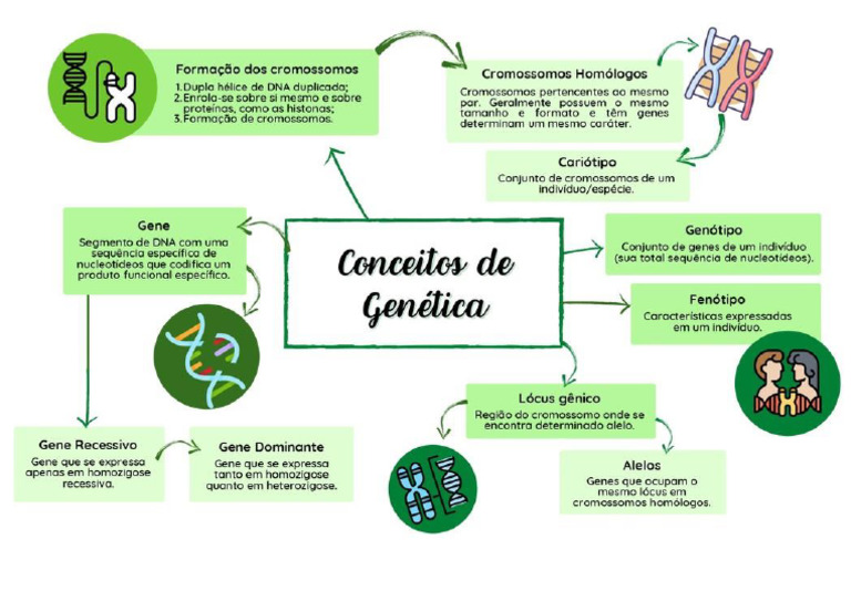 Maturalne Karty Pracy Biologia 2 Pdf