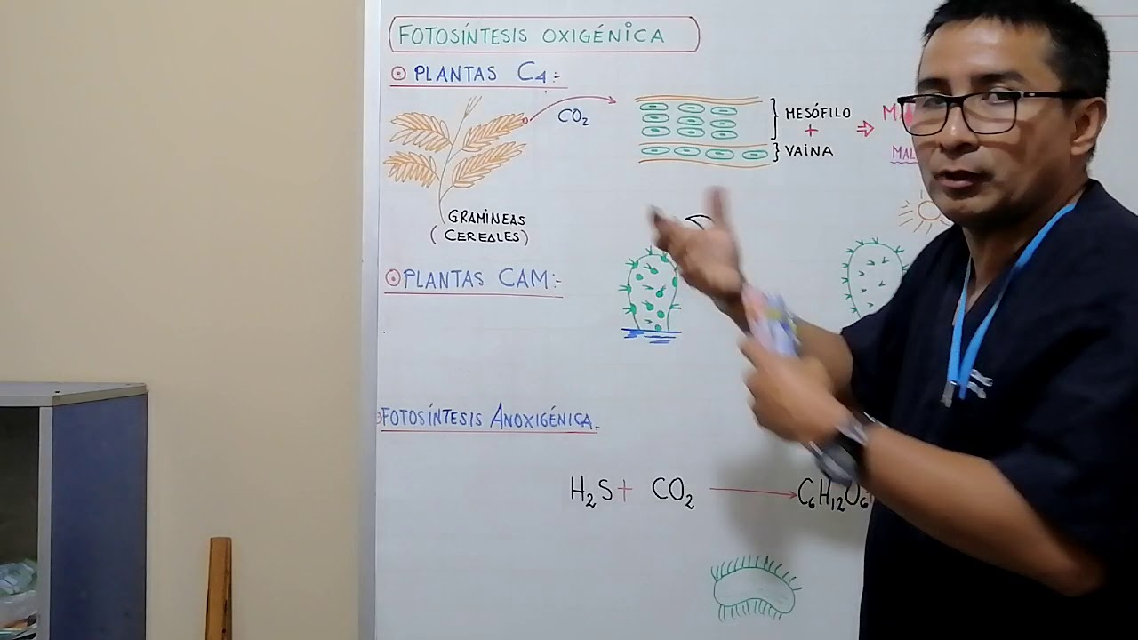 Zeszyt ćwiczeń Biologia Klasa 5 Pdf
