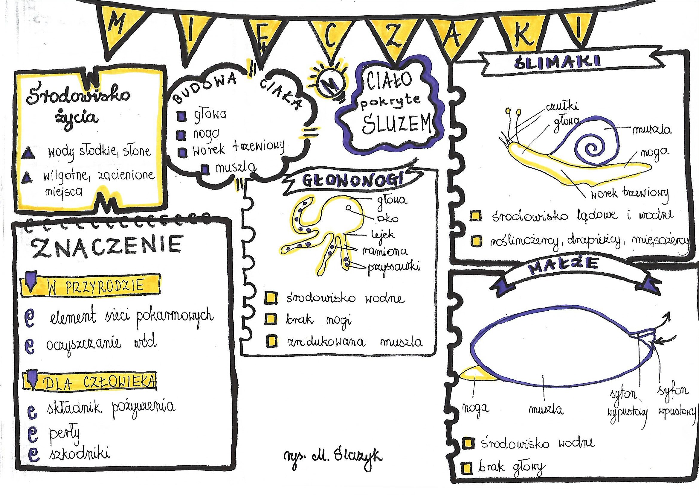 Biologia Graficzne Karty Pracy Dla Klasy 6 Biologia P - vrogue.co Sprawdzian Biologia Klasa 6 Dzial 1