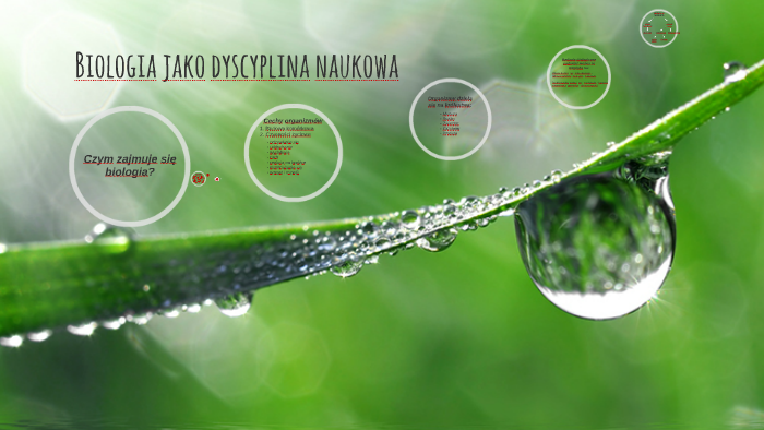 Biologia jako dyscyplina naukowa by Aleksandra Rubiszewska on Prezi Stosunki Międzynarodowe Jako Dyscyplina Naukowa