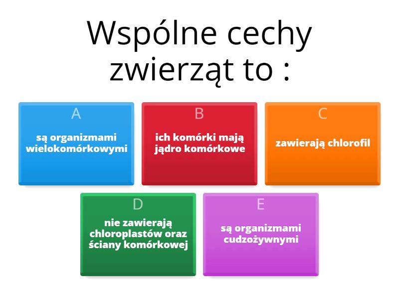 Test Biologi Dzial Klasa 6
