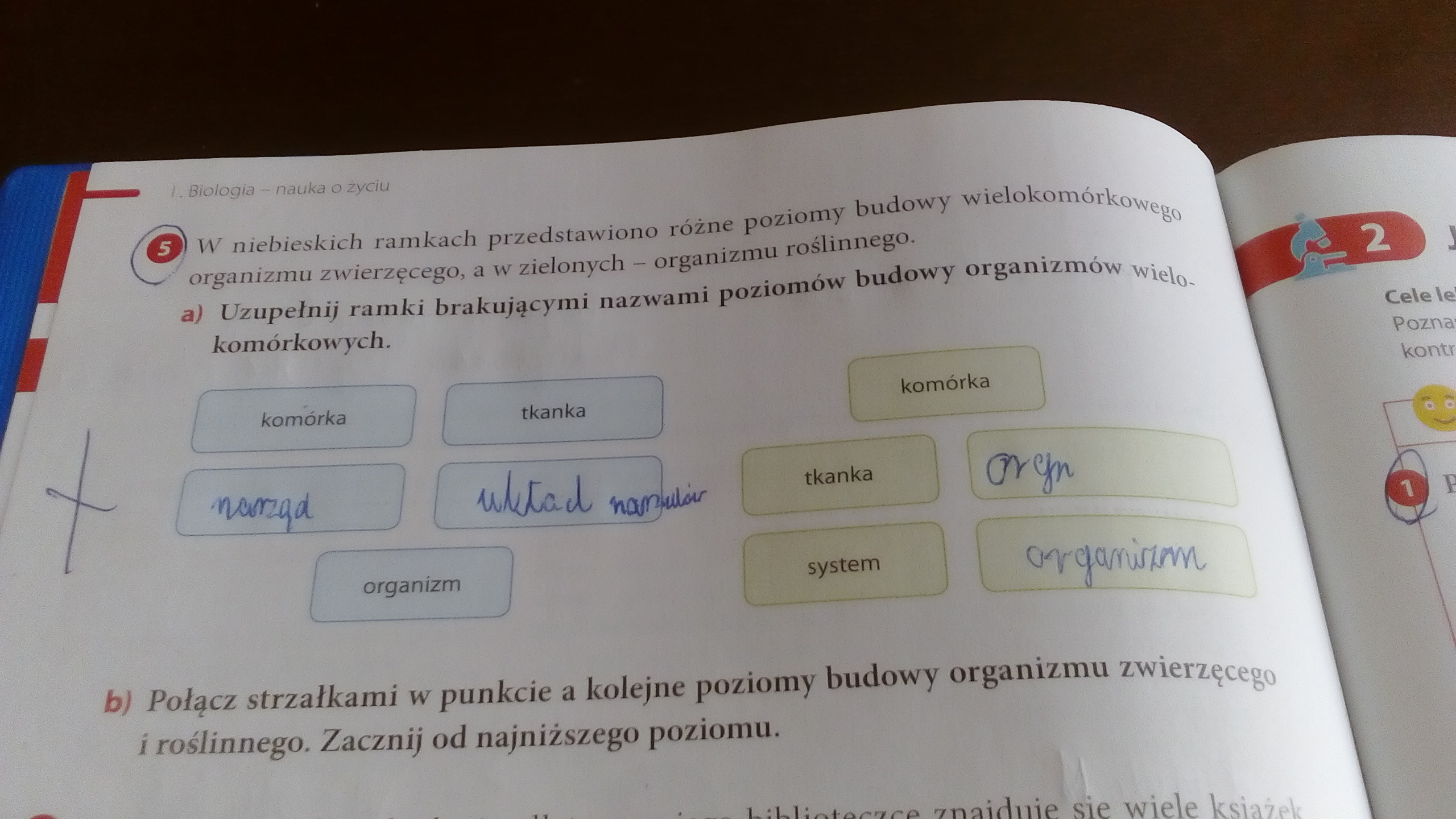 biologia kl.5 zeszyt cwiczen ,puls zycia' zad.5 str.6 uzupelnic ramki Puls Zycia Klasa 5 Cwiczenia