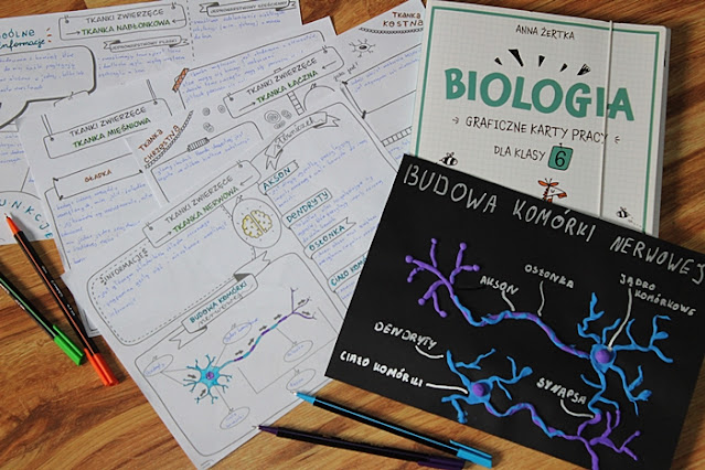 Biologia Klasa 6 Dzial 3