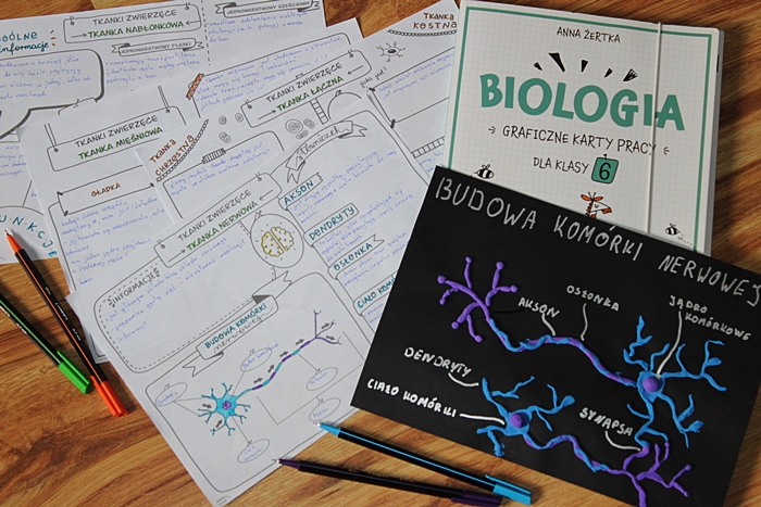 Klasa 6 Biologia Dzial 4