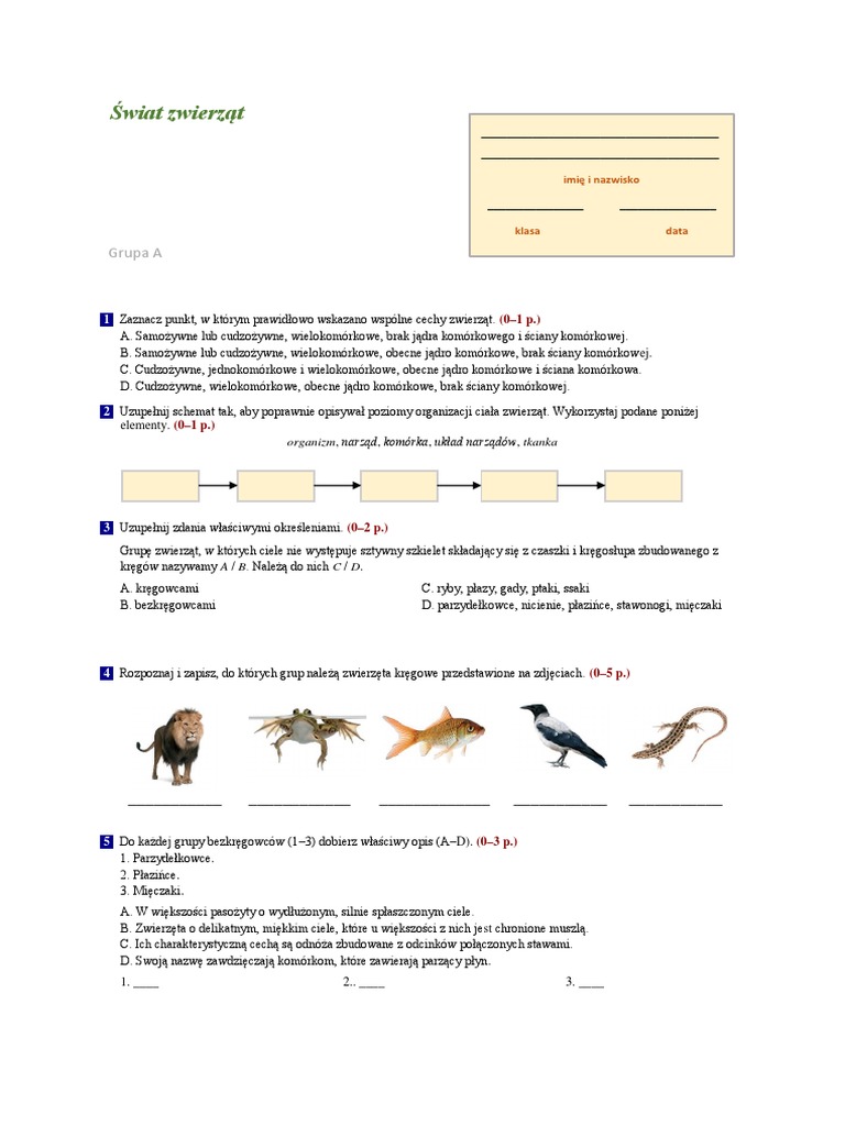 Biologia kl6 | PDF Sprawdzian Klasa 6 Biologia