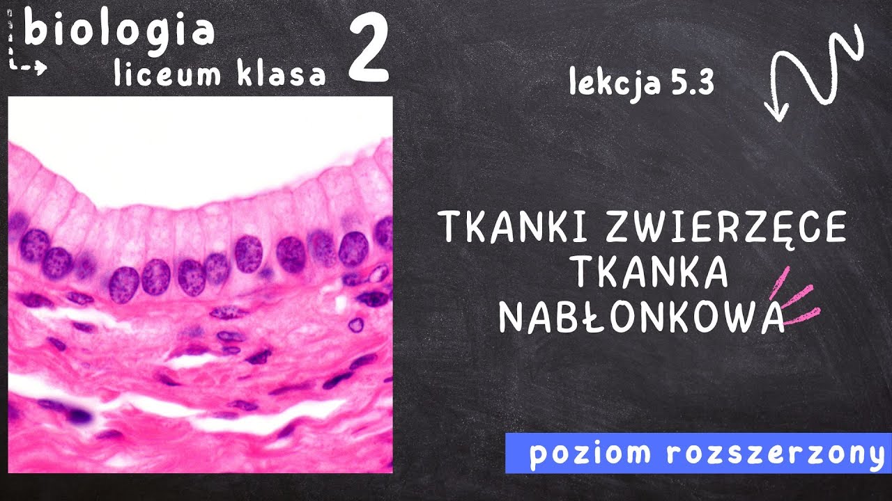 Biologia Na Czasie 3 Zakres Rozszerzony E-podręcznik Pdf