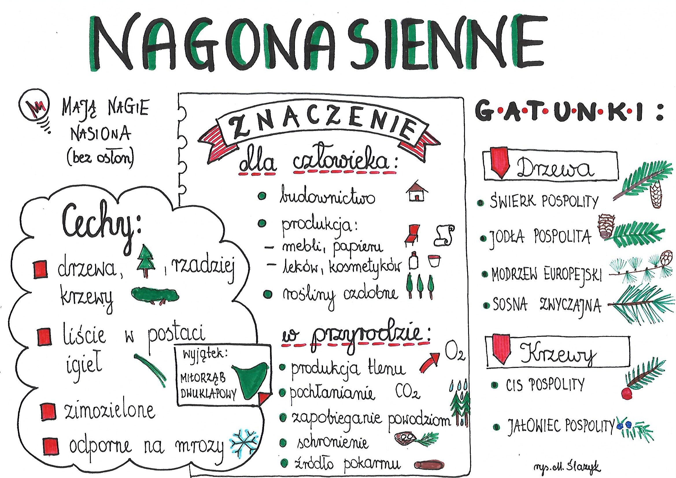 Biologia Klasa 5 Biologia Klasa 5