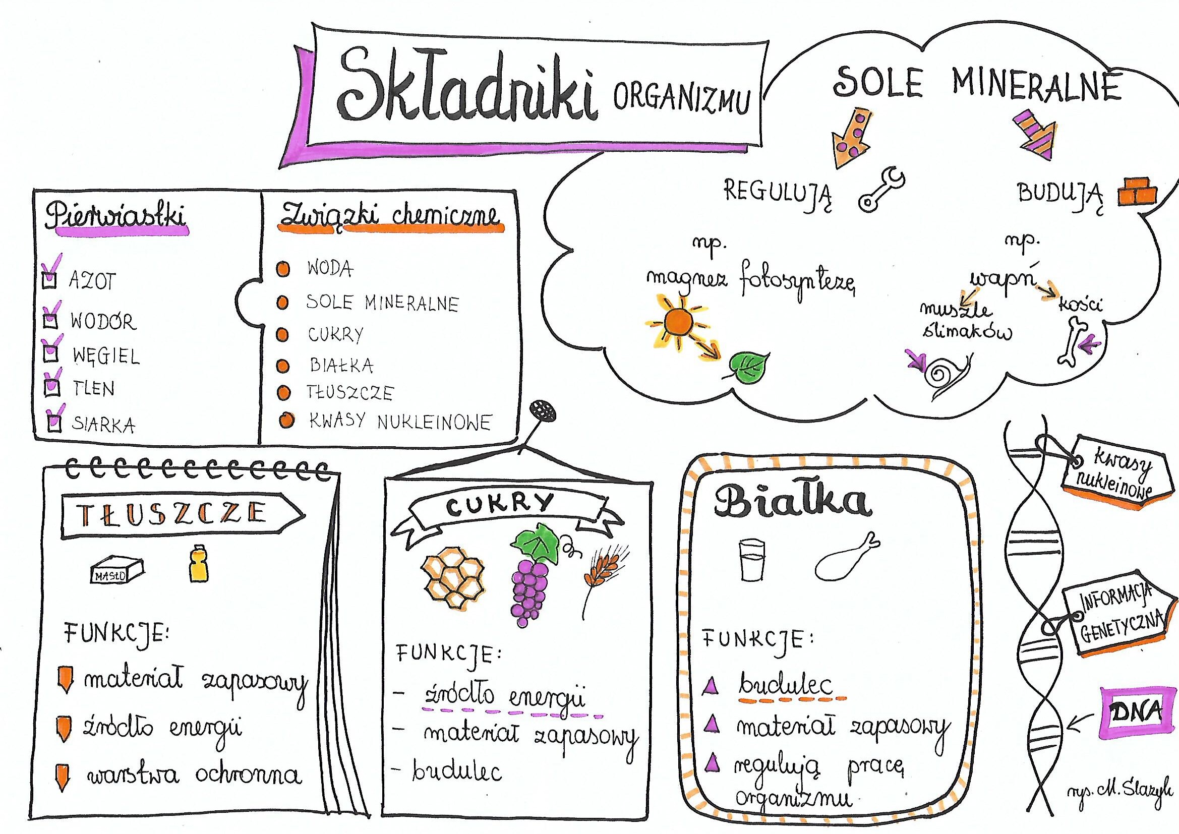 Biologia Klasa 5 Biologia Klasa 5