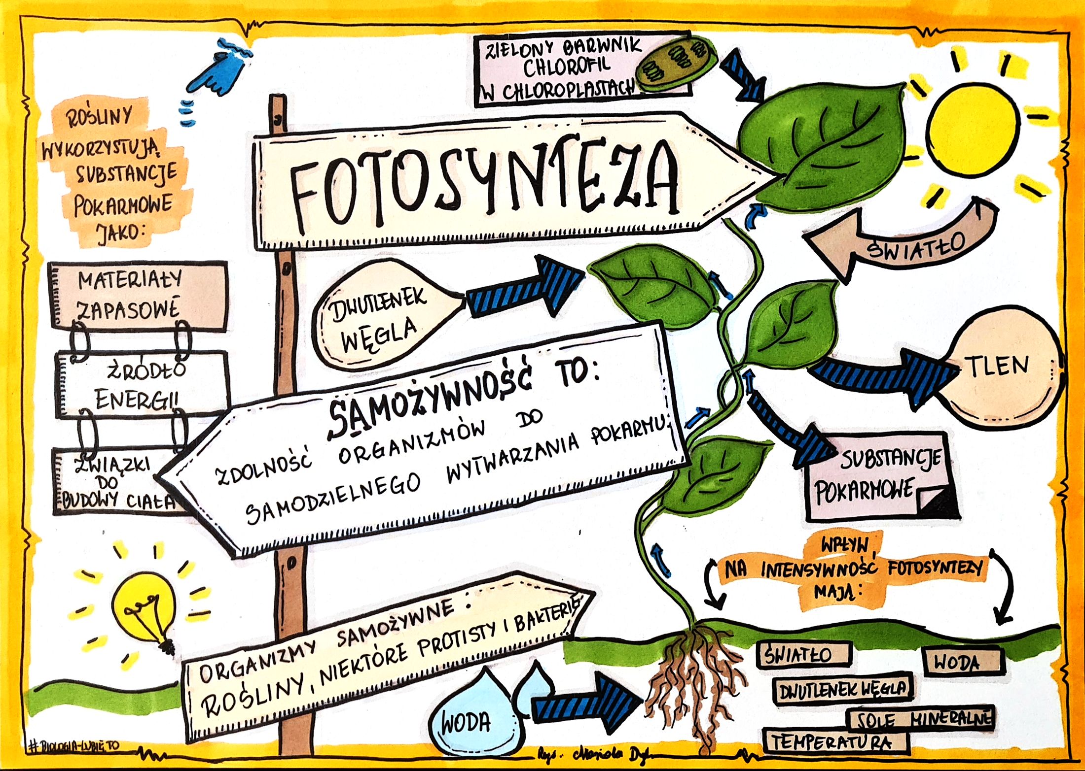 Biologia Klasa 5 5 Klasa Biolodia