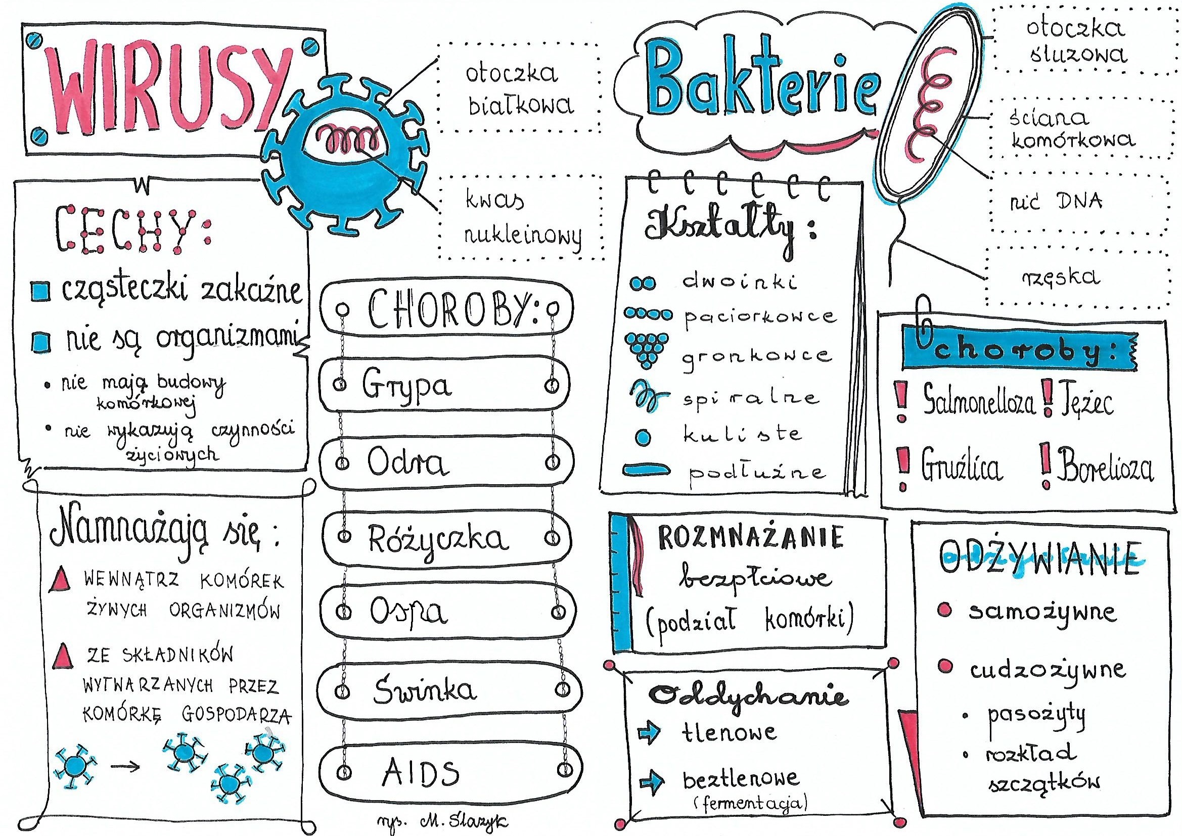 Biologia Klasa 5 Test Z Biologii 5 Klasa