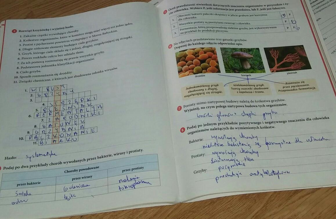 Biologia Klasa 5 Zeszyt ćwiczeń Biologia Klasa 5 Nowa Era Odpowiedzi